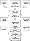 Explanatory model of chronic pain